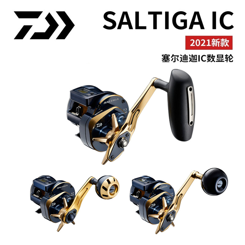 21 Mulinello Elettrico Giappon - Electric Reel recensione e prezzo
